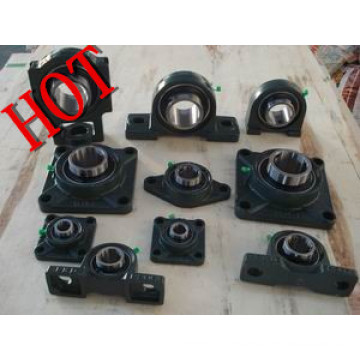 Bearing, Fkd Bearing, Pillow Block Bearing